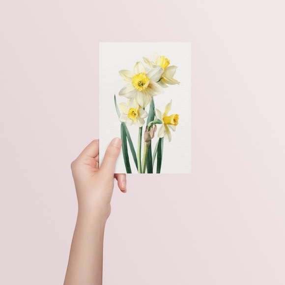 Watercolor Daffodils Flowers Wall Art Illustration Print Poster Unframed - Picture 4 of 6